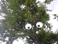 -皇城恒隆广场