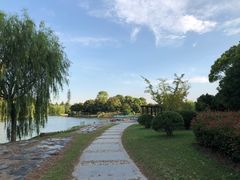 -上海鲜花港