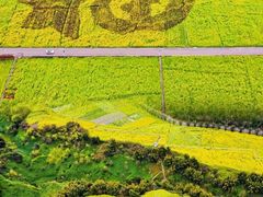 -孔雀湖生态旅游区