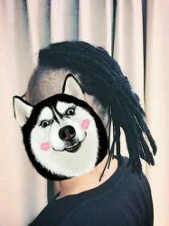 点击看大图 -KS COLOUR漂色·染发·画染