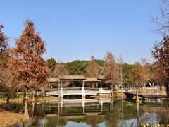 -同里国家湿地公园
