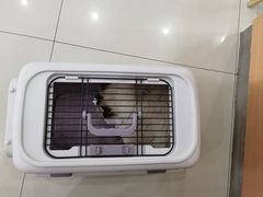 -思琪宠物医院(昆山花桥店)