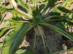 -味餐厅·海鲜·火锅·自助餐