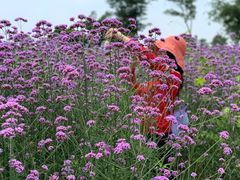 -歌斐颂巧克力小镇