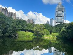 -深圳国际园林花卉博览园