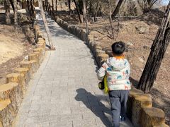 -白水寺森林公园