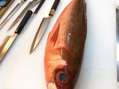 紫鲷手握-达摩君日本料理(泰海花园小区店)