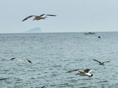 -银沙滩浴场