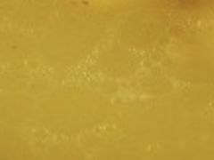 -月圆霖特色农家乐