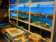 -金龙·打边炉(南京西路店)