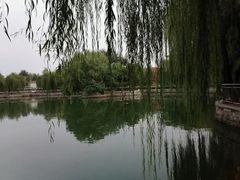 -黄村公园