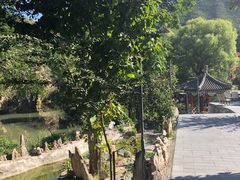 -双新垂钓园