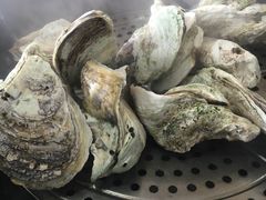 桑拿蚝-蚝专家(北滘店)