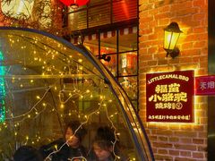 -福苗小骆驼烧烤(莲湖路店)