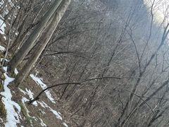 -塔云山