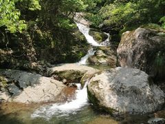 -东天目山风景区