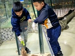 -上海大自然野生昆虫馆(东方明珠·爬宠昆虫探索中心)