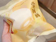 雪胖胖芒果椰子风味-DQ·蛋糕·冰淇淋(领秀城店)