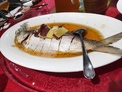 古法蒸鲥鱼-老洋房花园饭店(绍兴路店)