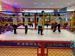 -武易极武术·体能·搏击培训(新年华购物中心店)