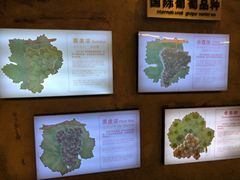-青岛葡萄酒博物馆