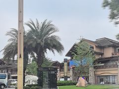 -峨眉山报国寺