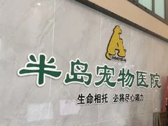 -半岛宠物医院24小时(科华中路店)