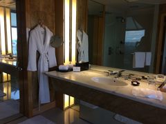 -新加坡丽思卡尔顿美年酒店