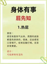 点击看大图 -玛莲朵·海菲秀冰珀科
