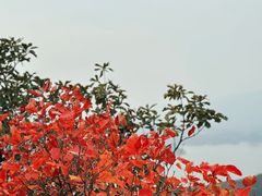-北京十三陵国家森林公园蟒山景区