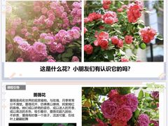 -尼莫儿童美术(三阳路融科天城校区)