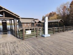 -溱湖国家湿地公园