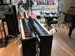 -柏斯音乐艺术中心·钢琴·吉他(上音店)