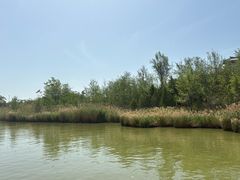 -卤阳湖国家湿地公园