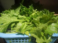 -乡土特色.冷锅鱼.牦牛肉汤锅