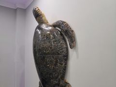 -游龙石文化科普馆