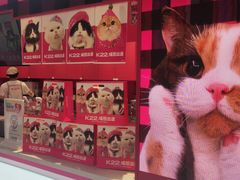 -K22.酸奶草莓(长春上海路万达店)