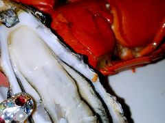 -澳门旅游塔360°旋转餐厅(南湾湖广场店)