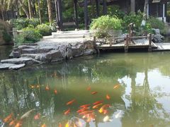 android_upload_pic-朱家角课植园