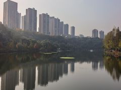 -重庆彩云湖湿地公园