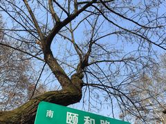 -颐和路民国时期公馆风貌区