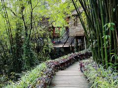 -天门沟九州驿站树上汤泉