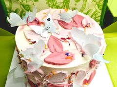 -小苍兰风铃草蛋糕甜品(沈阳店)