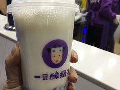 -一只酸奶牛(八一路店)