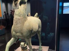 -广西壮族自治区博物馆