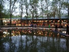 -大鹅岛绿色生态美食园