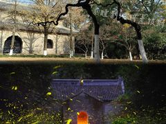 -灵谷景区