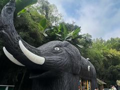 -野象谷景区