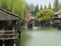 -乌镇西栅景区