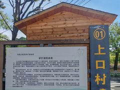 -大岭沟猕猴桃谷风景区